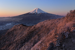 染まる樹氷