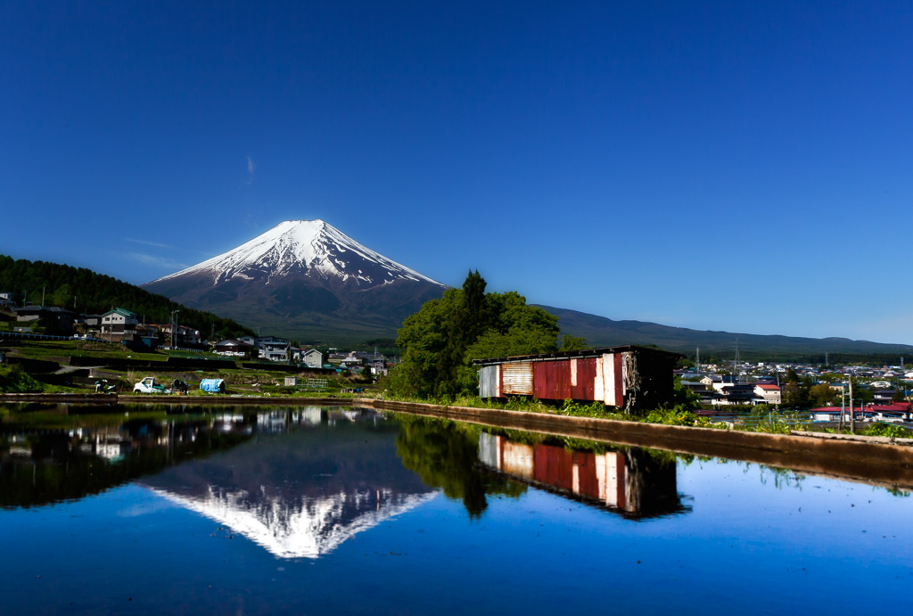 富士山　田植え前の水田