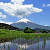 富士山　たんぼ