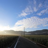 田舎道