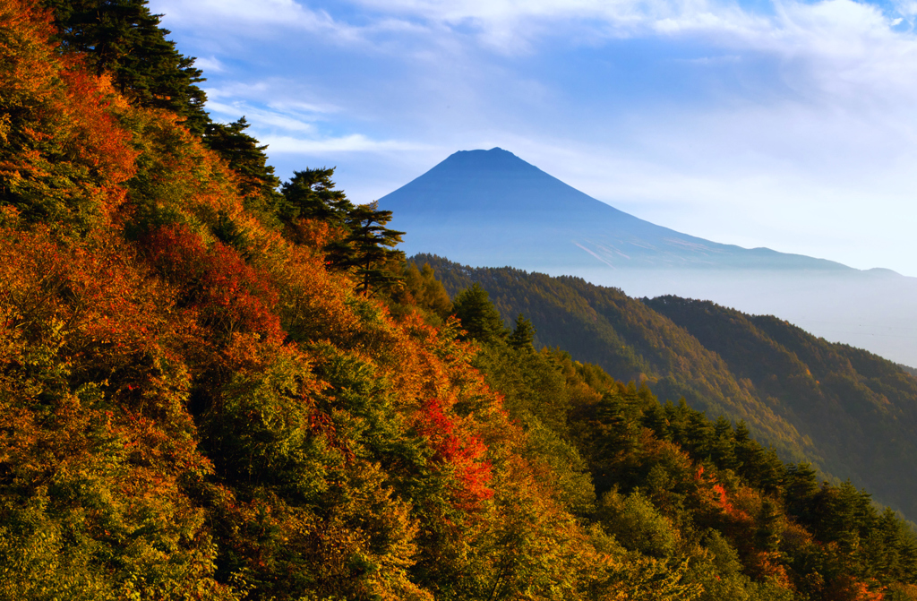 紅葉と富士