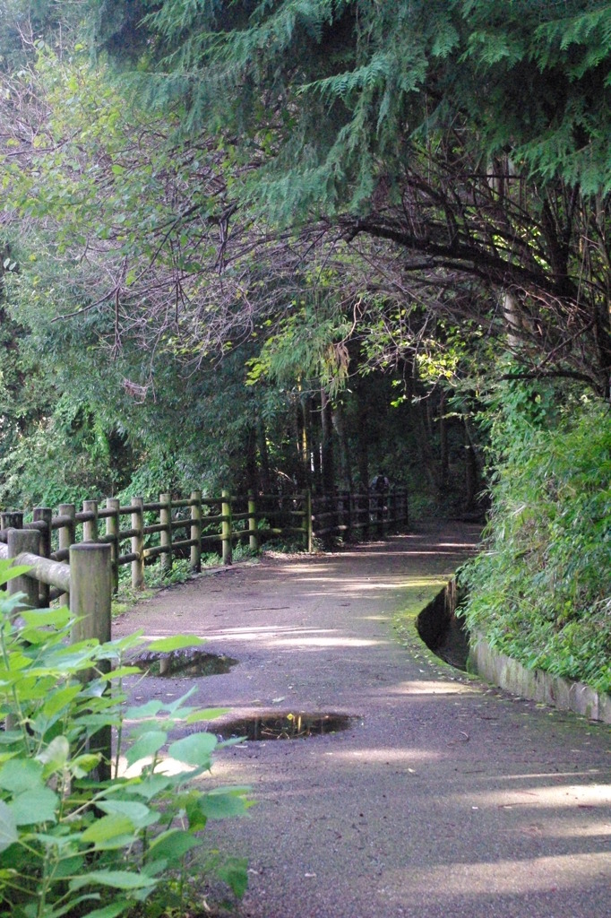 山道。