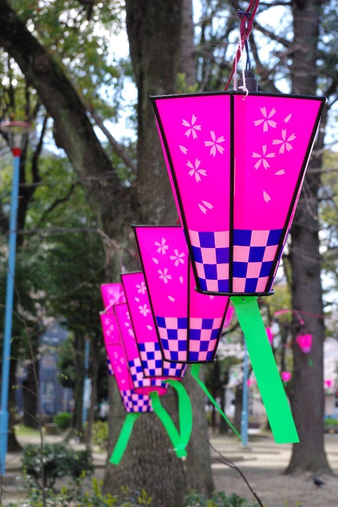 お花見の堤燈。