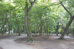 P1050072