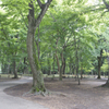 P1050072