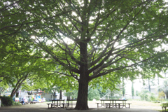 P1050106
