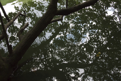 P1050046