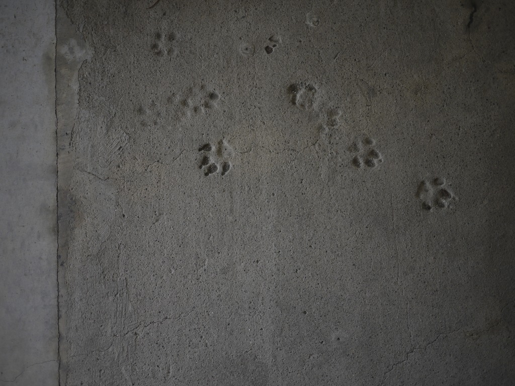 P1010504