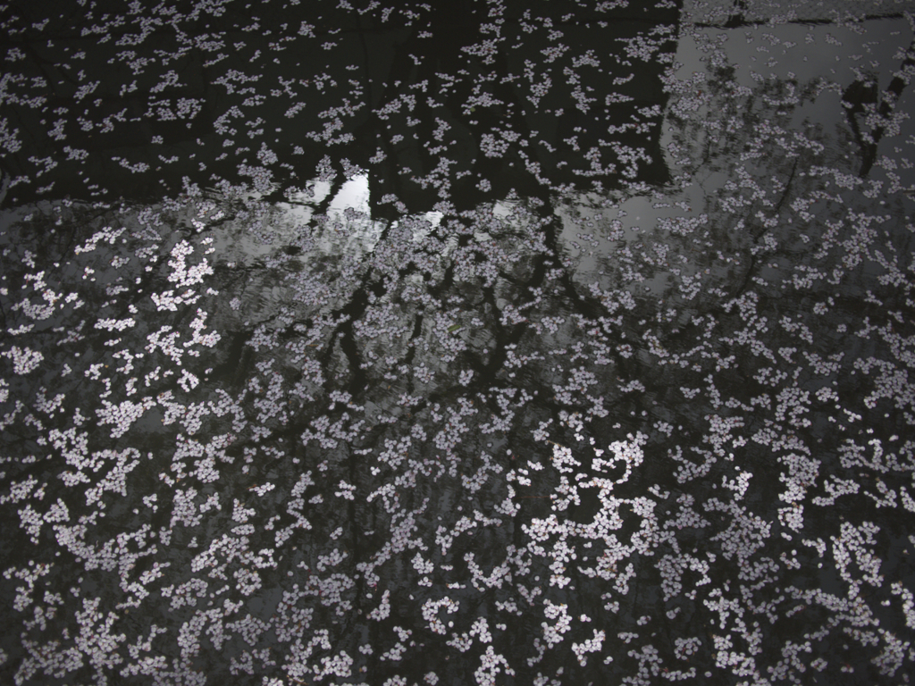 P1020117