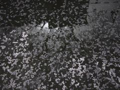 P1020117