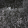 P1020117