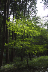 P1050070