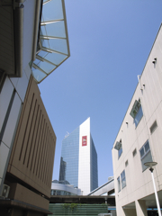 朝の混乱と青空