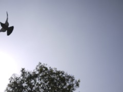 P1010791