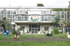P1050097