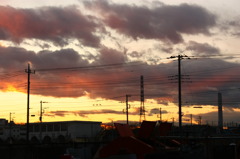 IMG_9080