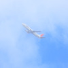 秋空に羽ばたく
