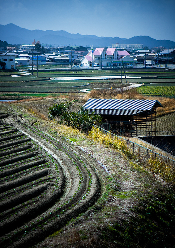 過去と現在