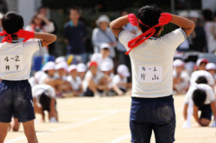 赤組がんばれ、白組負けるな!