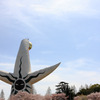 太陽と桜と飛行機雲と。