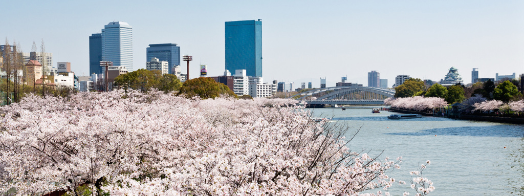 大阪の春