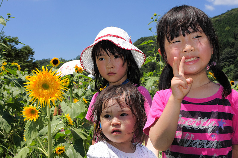 三姉妹の夏休み