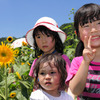 三姉妹の夏休み