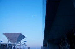 晴海客船ターミナルからの風景