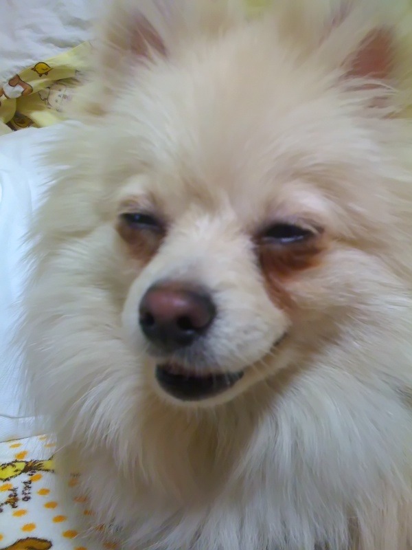 うへー