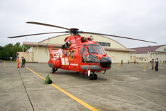 AS332L1
