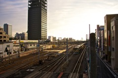中野の朝