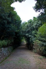 朝熊山自然歩道