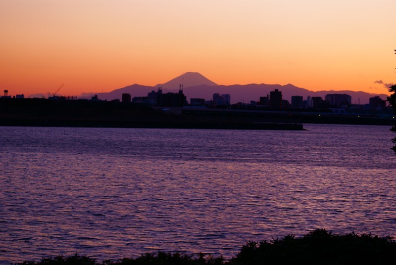 東京で富士山