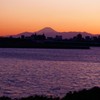 東京で富士山