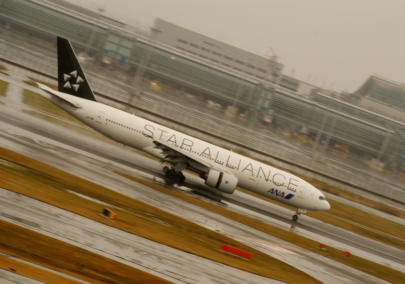 ANA STAR ALLIANCE Colored