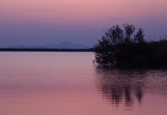 ため池の夕景