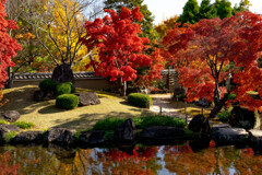 姫路　好古園−１