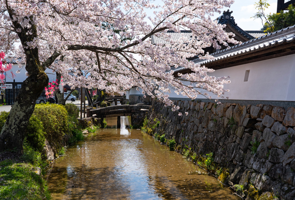 竹田寺町通