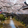 竹田寺町通