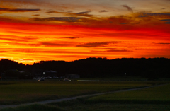 夕焼け