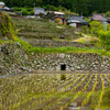 2021岩座神の棚田