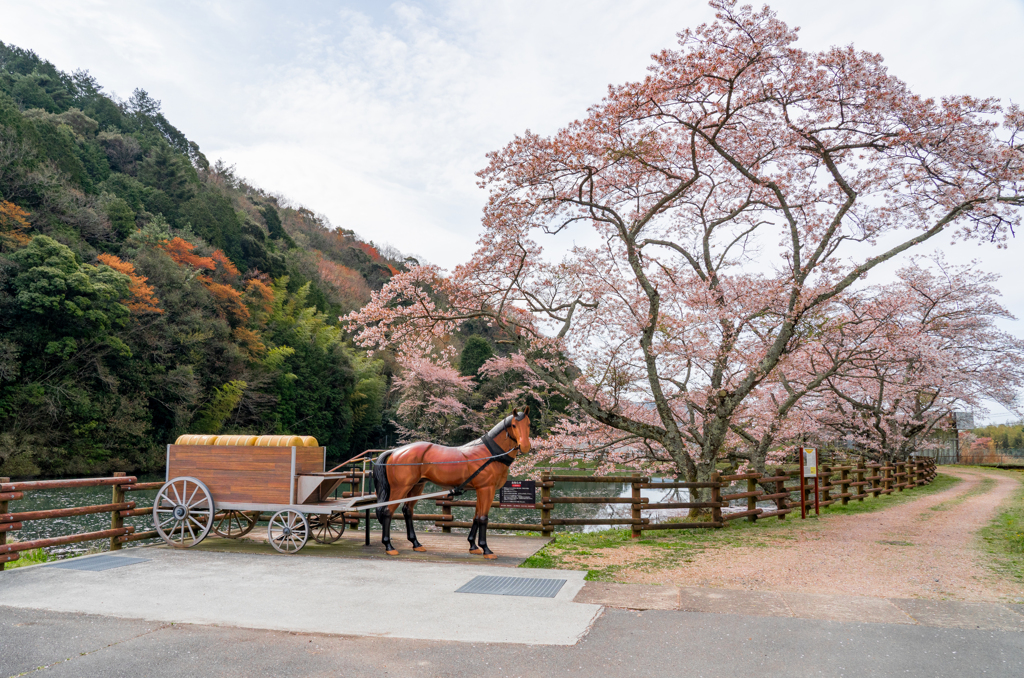 銀の馬車道-2