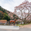 銀の馬車道-2