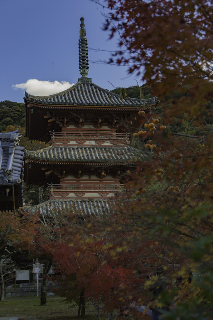 太山寺三重塔