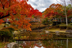 余暇村公園の紅葉