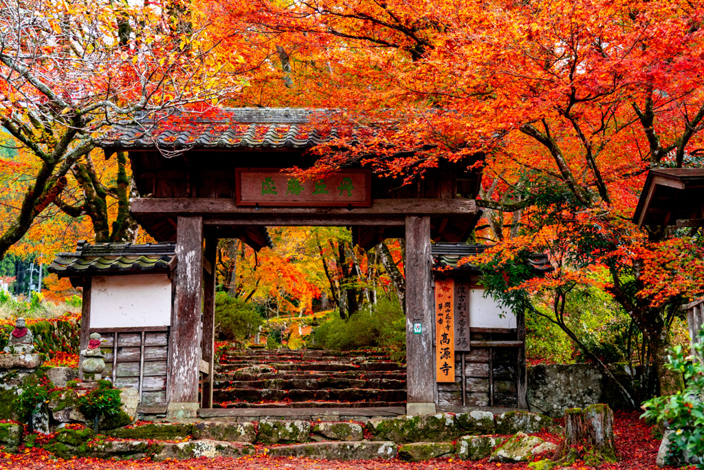 高源寺山門