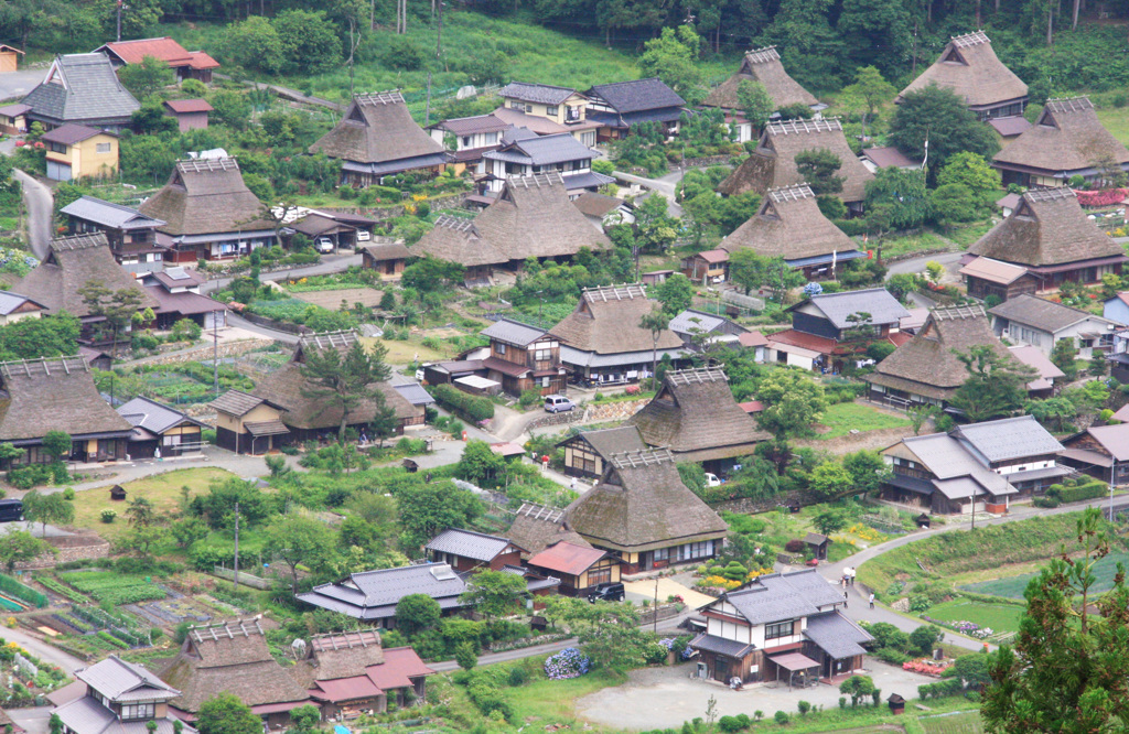 美山全景