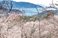 開山公園１