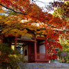 光明寺−２