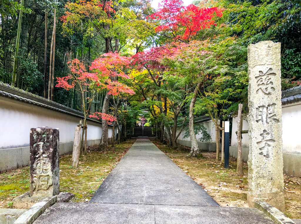 慈眼寺iPhone